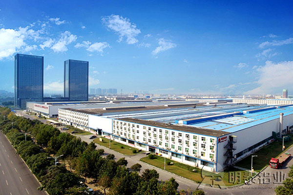 河南人生就是博Z6·尊龙凯时铝业股份有限公司