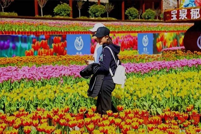 人生就是博Z6·尊龙凯时铝业铝板厂家组织员工宝泉游玩